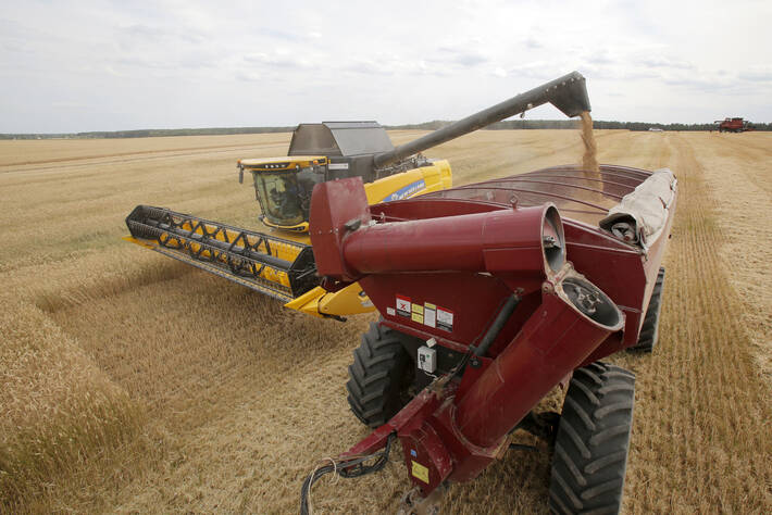 Global food commodity prices rebound in August
