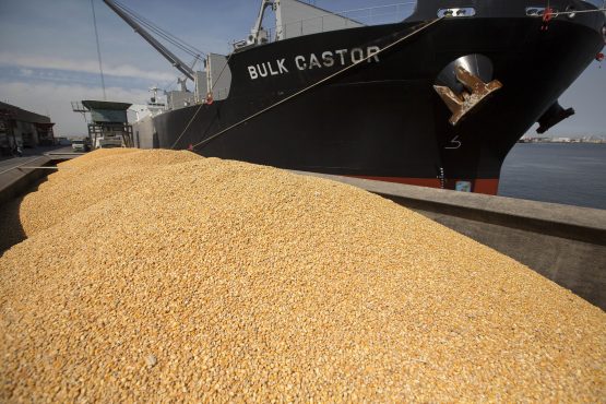 Global food import bill set for record, taking toll on poorest