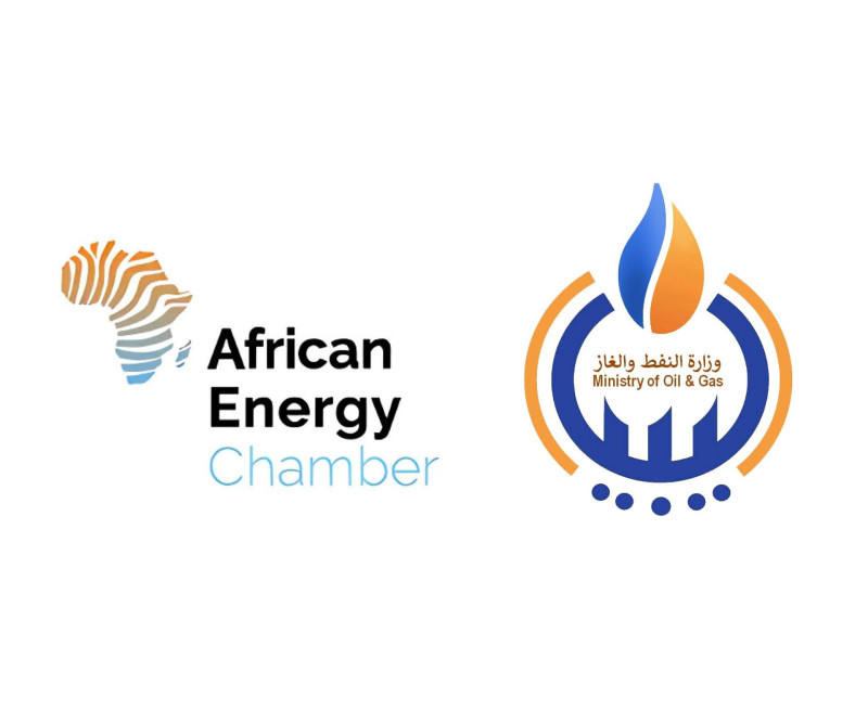 Frontier Africa Reports