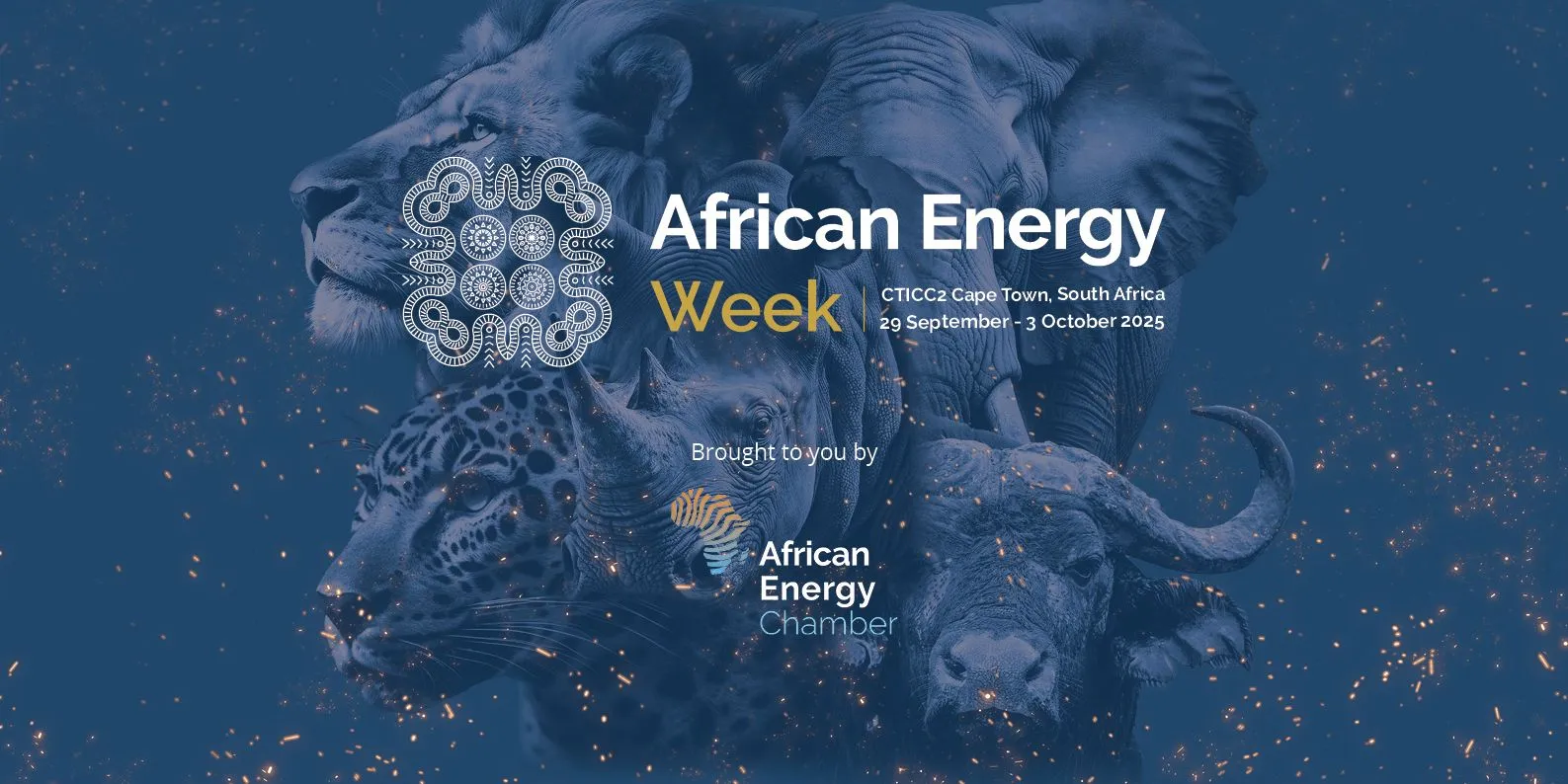 Stable and Transparent Regulatory Frameworks: Key to Unlocking Africa’s Energy Investment Potential