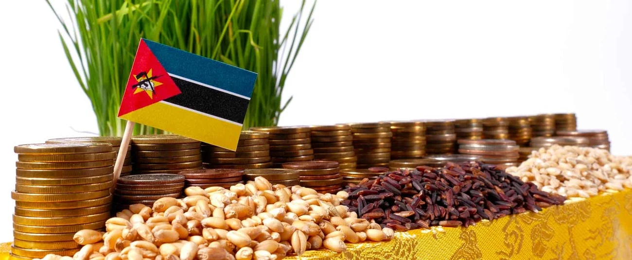 African Development Bank Group Approves $22.8 Million Grant to Boost Mozambique's Rice Production and Build Climate Resilience