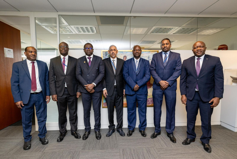 African Development Bank President pledges deeper cooperation with key constituency