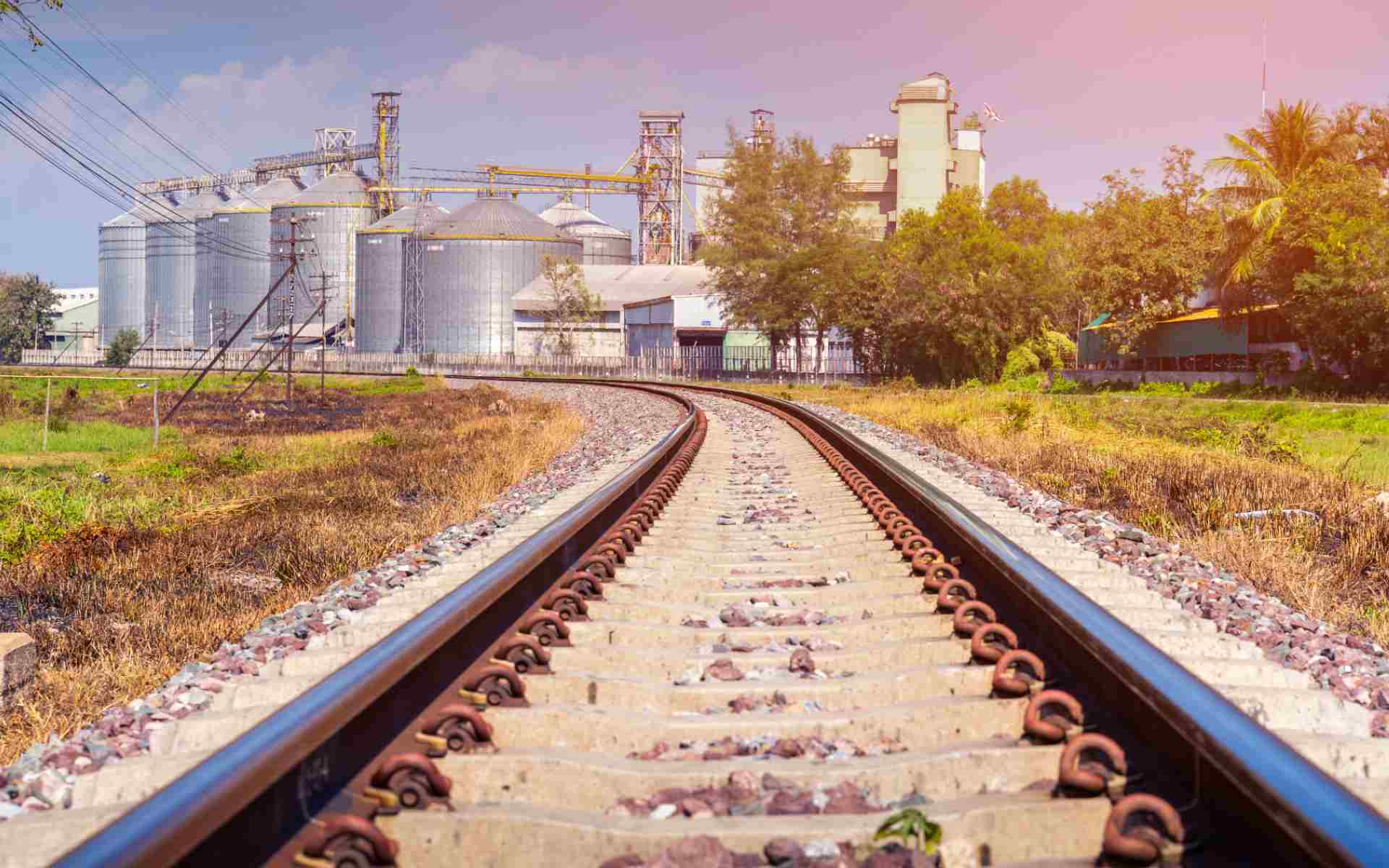 Frontier Africa Reports