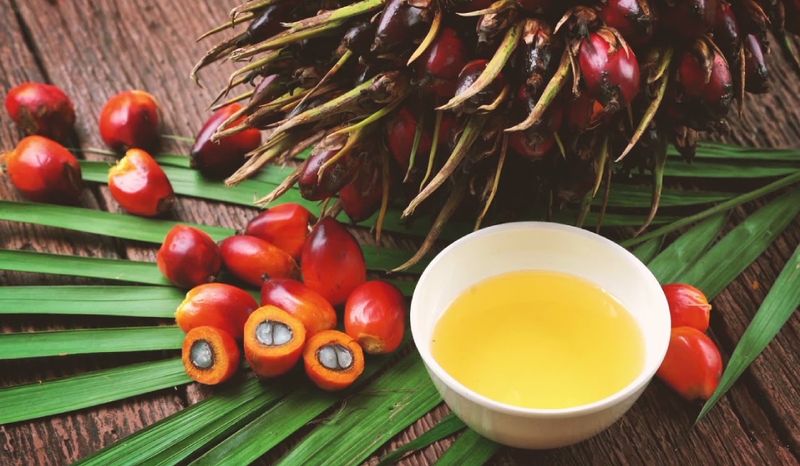 Frontier Africa Reports